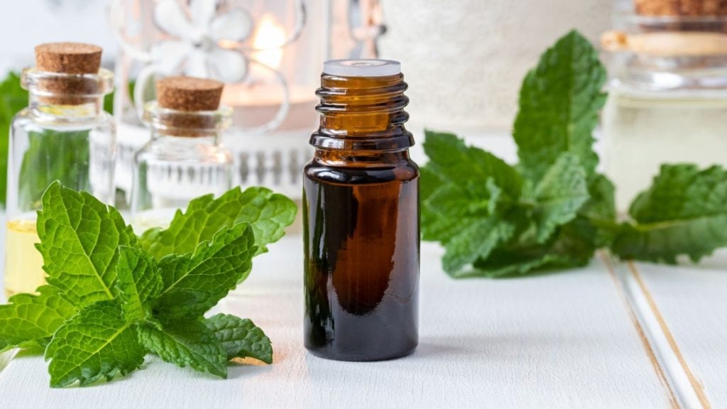 The Exotic, The Unconventional: Natural Ingredients to Try on Your Hair