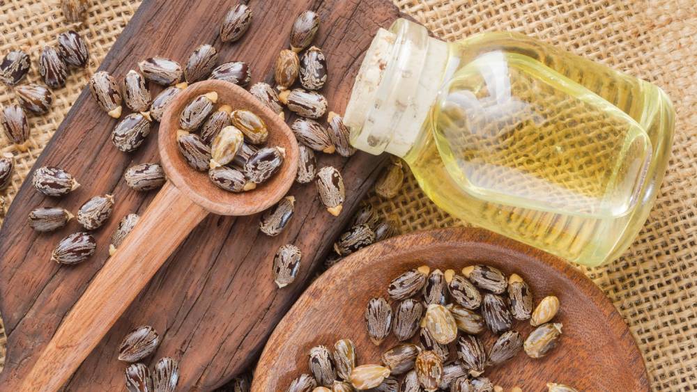 What is Black Castor Oil Good For?