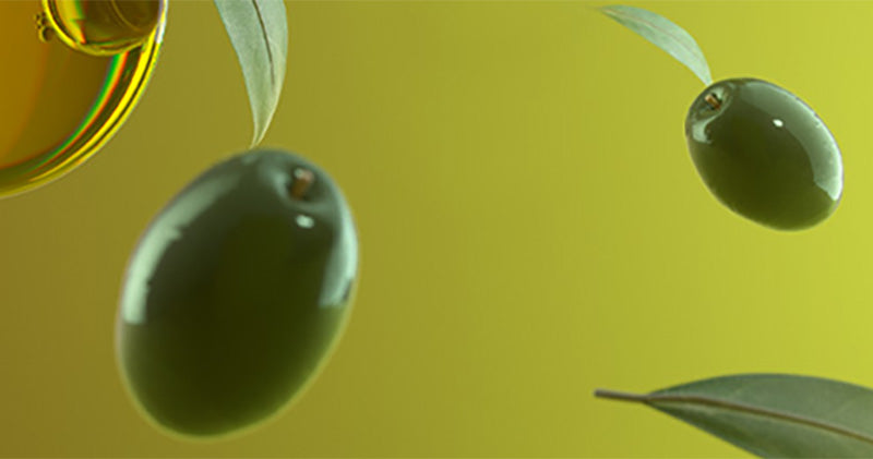 Olive Miracle