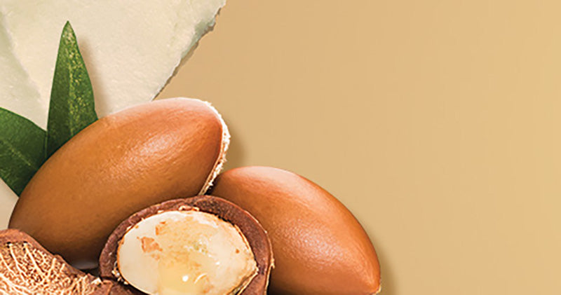 Shea Miracle
