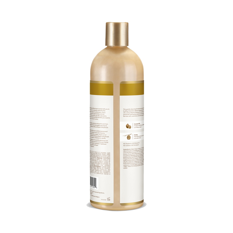 Moisture Shampoo product image